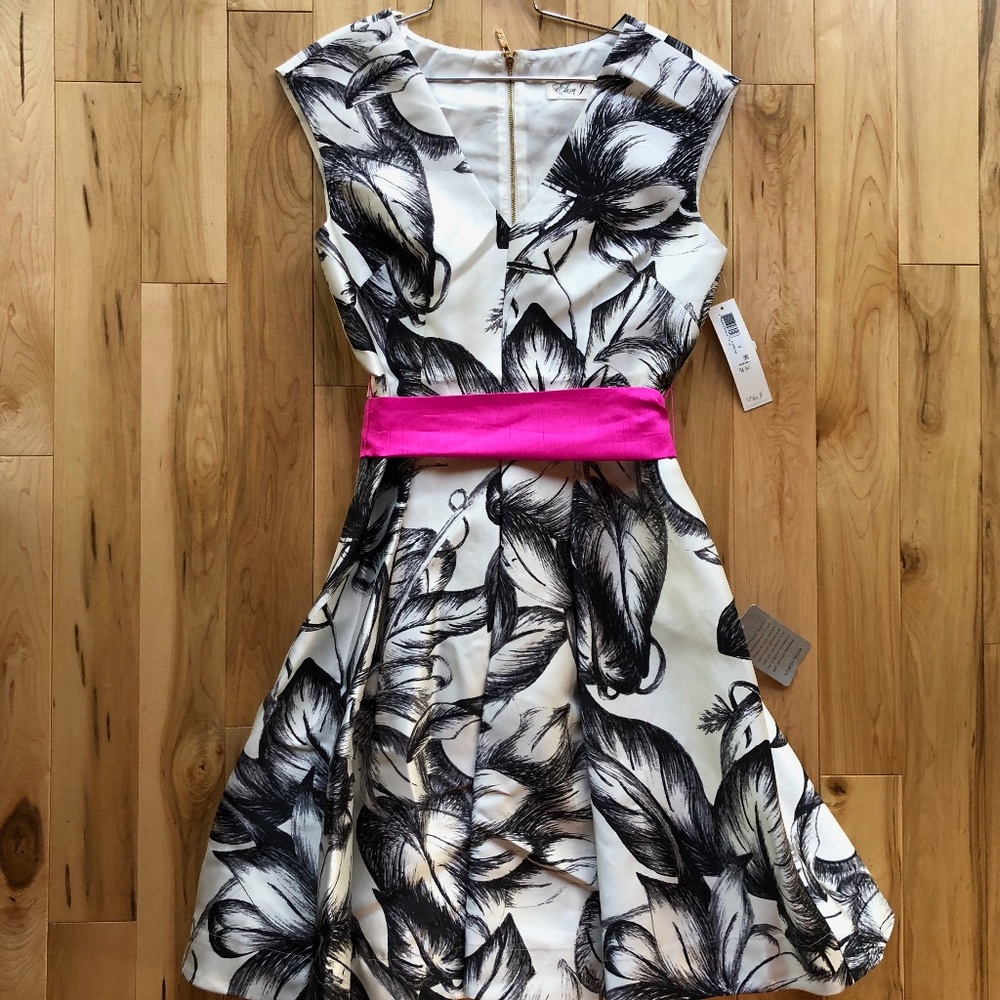 Eliza J fit‎ and flare dress NWT